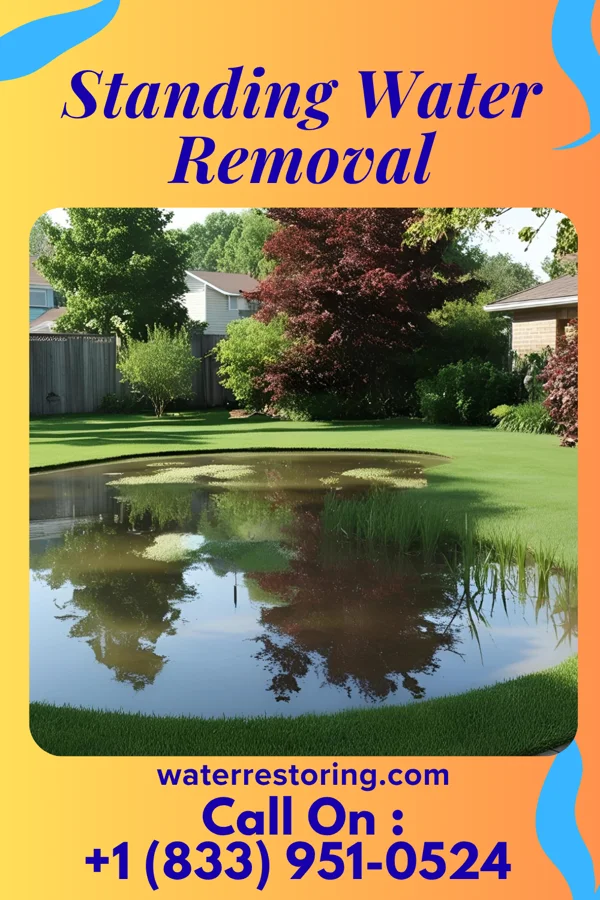 Standing Water Removal in Keystone, IA